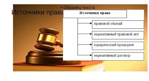 Обычай прецедент органов государственной