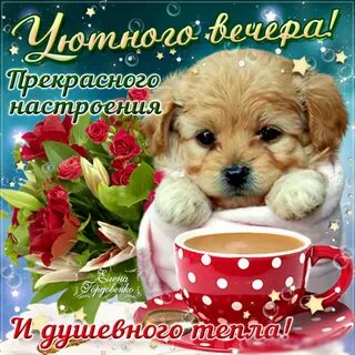 Вечер смс пожелания