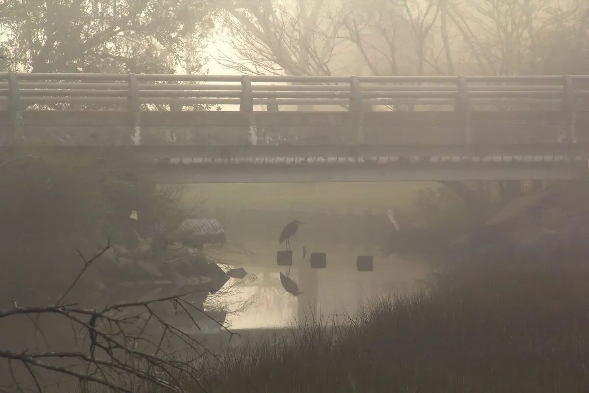 ночевал под мостом. мост янг-стрит. ночевал под мостом. бутаковский мост. американские бомжи под мостом.
