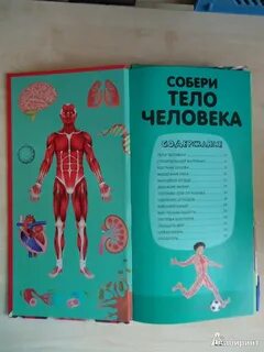 Собирая тела