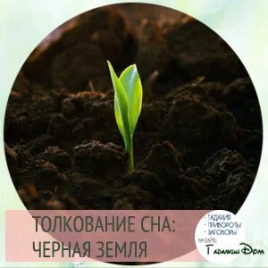 К чему снится что ты в земле