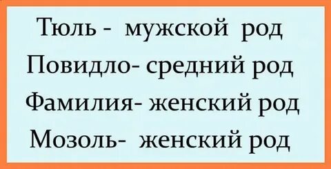 Шимпанзе род слова существительные