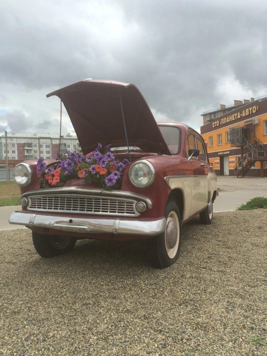 Sv auto