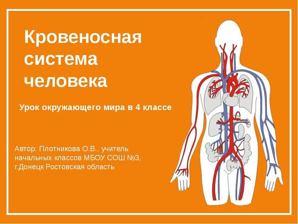 Кровеносная система 4 класс. Кровеносная система окружающий мир 4 класс. Кровеносная система. Кровеносная система человека схема 4 класс. Кровеносная система окружающий мир 4 класс.