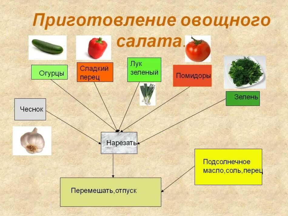 Технологическая схема салат овощной. Технологическая карта приготовления салата из овощей. Технологическая карта приготовления овощного салата. Технологическая схема приготовления салата из сырых овощей. Последовательность приготовления овощей