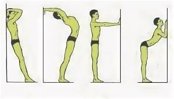 Упражнения для исправления сутулости осанки у. Упражнения при сутулости спины у подростка. Комплекс упражнений при сутулости спины у взрослых. Осанка упражнения при сутулой спине.