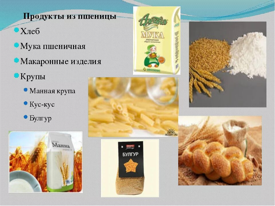 Пшеничная из чего делают. Продукты из пшеницы. Что делают из пшеницы. Продукты из зерна пшеницы. Крупы и макаронные изделия.