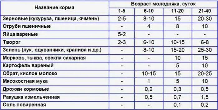 Индейка собаке можно ли давать. Таблица рациона питания для индюков. Рацион корма индюков. Таблица кормления бройлеров индюков. Рацион кормления индюков в домашних условиях таблица.