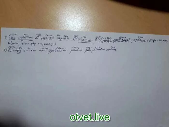 Синтаксический разбор старый пень. Лесник скосил траву на опушке синтаксический разбор. Гдз по русскому 5 класс разумовская львова. Березовая роща синтаксический разбор. Леса синтаксический разбор.