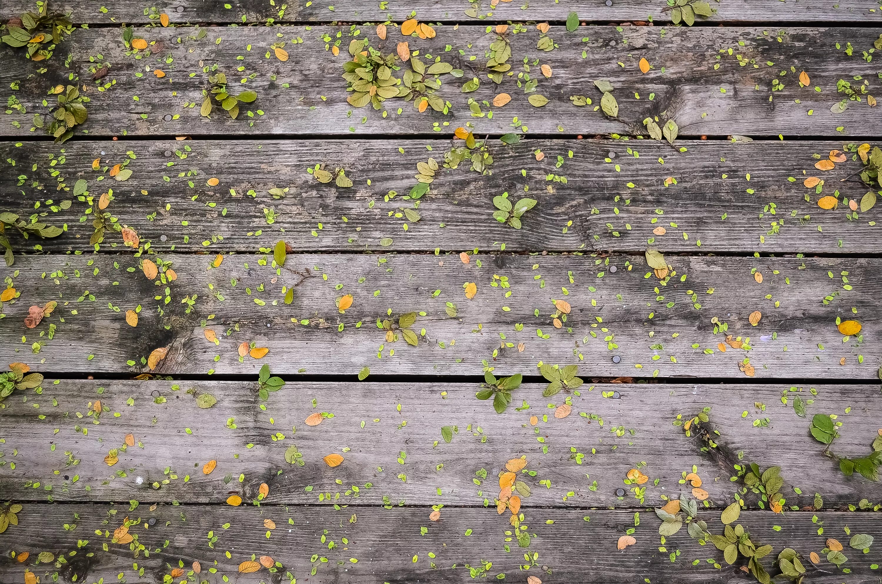 Деревянный фон для фото wooden boards texture background, wood