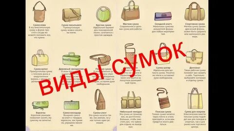 Сумки термины