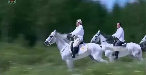 Игры на белом коне