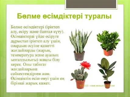 Жалаңаш келіндердің суреттері