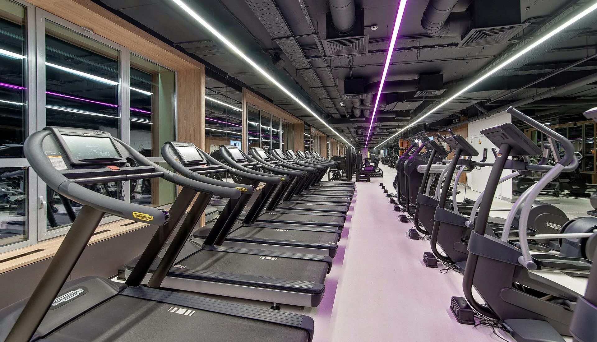 Ddx fitness химки. Ddx фитнес беляево. Ddx fitness одинцово. Дд фитнес. Ddx fitness коньково.