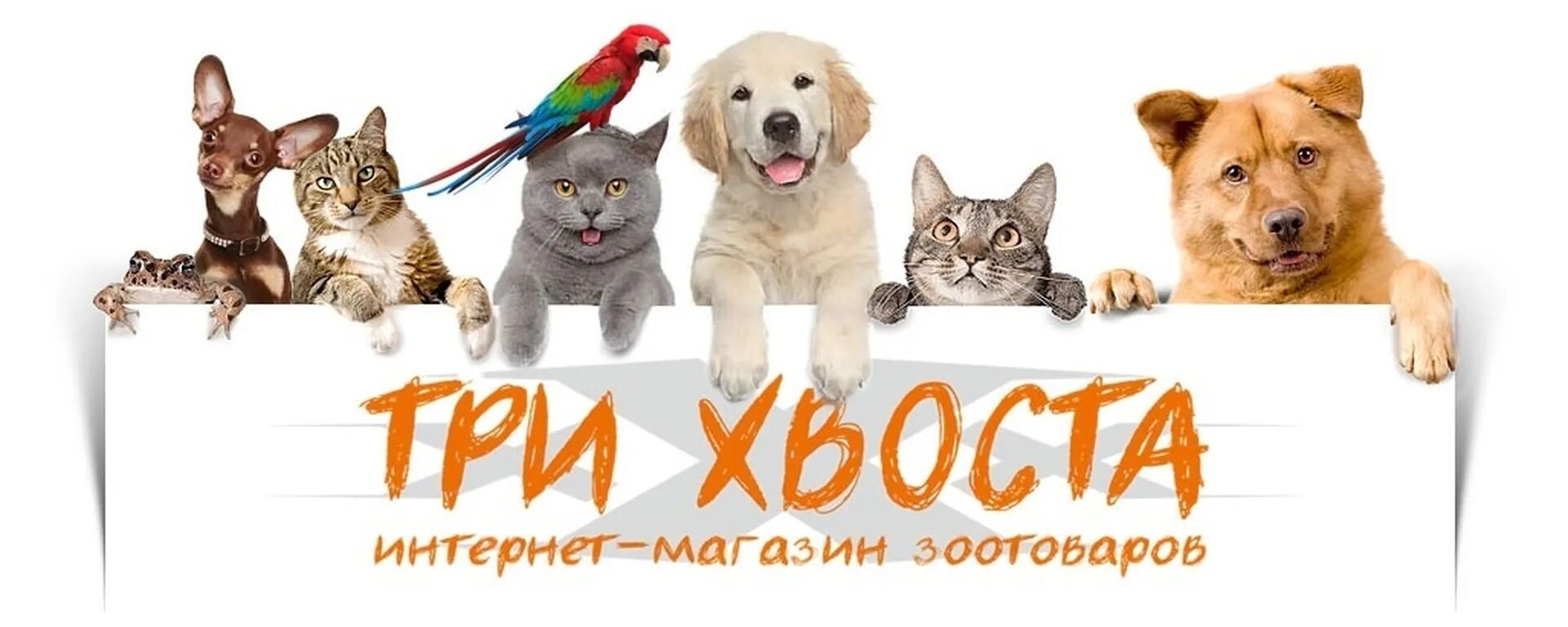 Мир хвостатых интернет