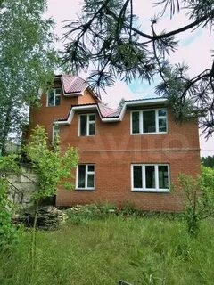 Авито черноголовка
