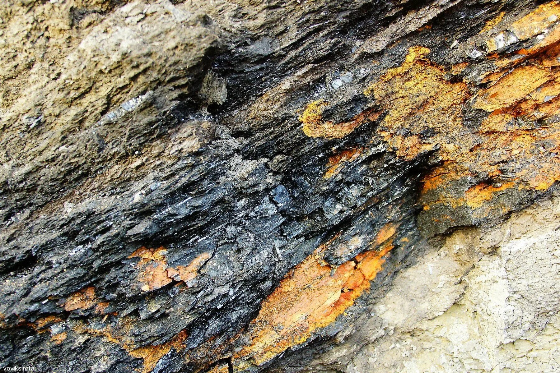 В древности образовали залежи каменного угля. Угленосные пласты. Угольный пласт. Угольный пласт в разрезе. Каменный пласт.