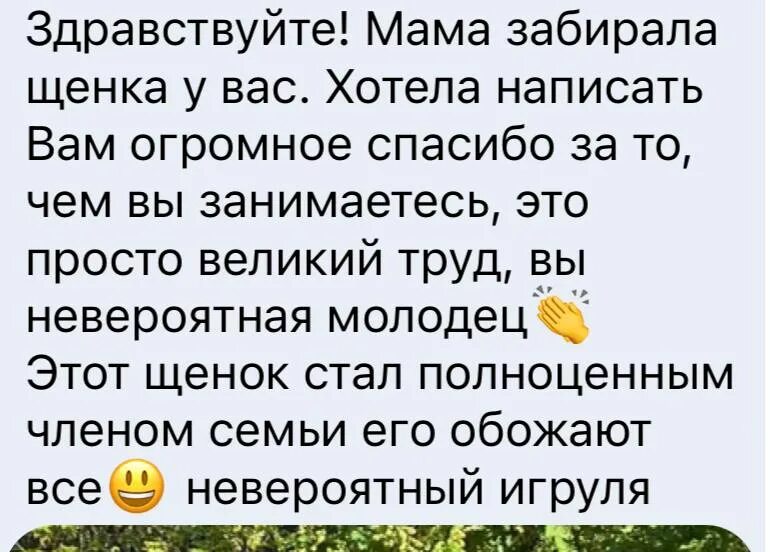 волонтерское движение в городе хабаровске. фото волонтеров в работе. волонтерское движение муром. волонтерское движение муром. волонтерского движения ставропольского края ветровка.