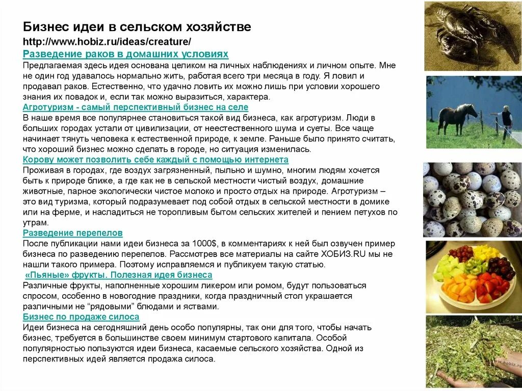 Бизнес план агротуризм пример с расчетами Схема разработки бизнес плана Финансы, Цифровой маркетинг, Планировщик бюджета
