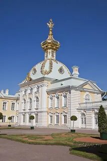 Нотариусы петергофа телефоны
