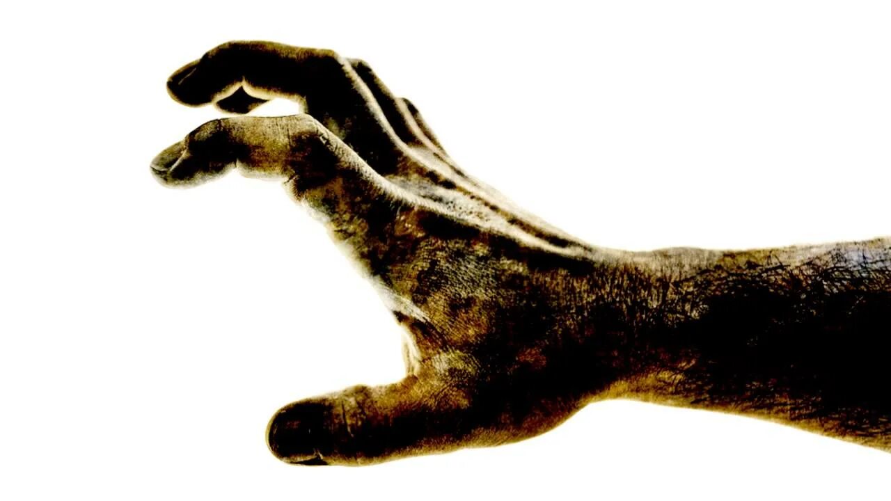 The dead hand