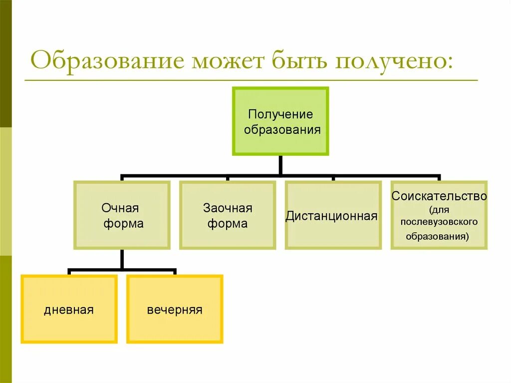 Какое образование дает. Образование может быть. Образование может быть получено. Какие образования могут быть. Какое образование можно получить.