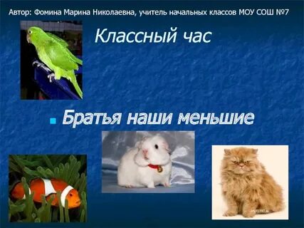 О братьях наших меньших 2 класс презентация