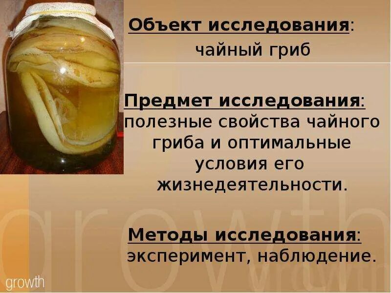 Чайный гриб вред отзывы. Чайный гриб. Чем полезен чайный гриб. Чайный гриб полезные. Исследования чайного гриба.