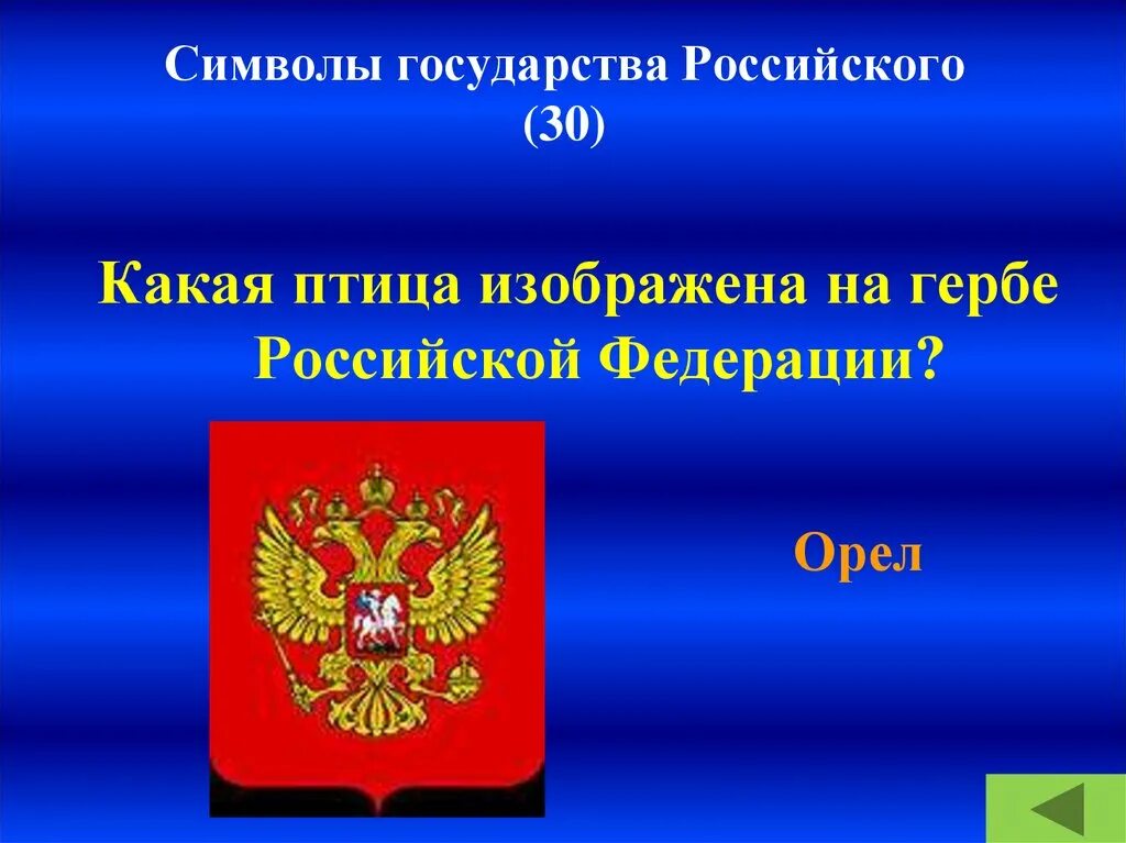 Что изображено на государственном россии. Символы российского государства. Символы государства. Символы государства Российской Федерации. Какая птица изображена на гербе.