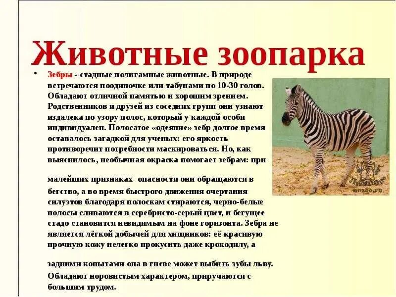 Зоопарк сообщение 2 класс. Информация о животных из зоопарка. животные из зоопарка сообщение. описание животных. доклад на тему зоопарк.