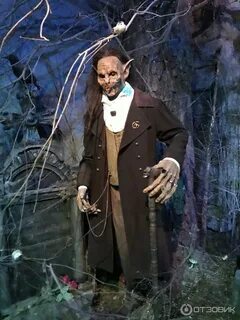 Петербург музей бестиарий