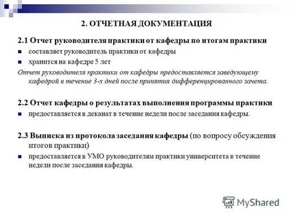 Отчет руководителя организации
