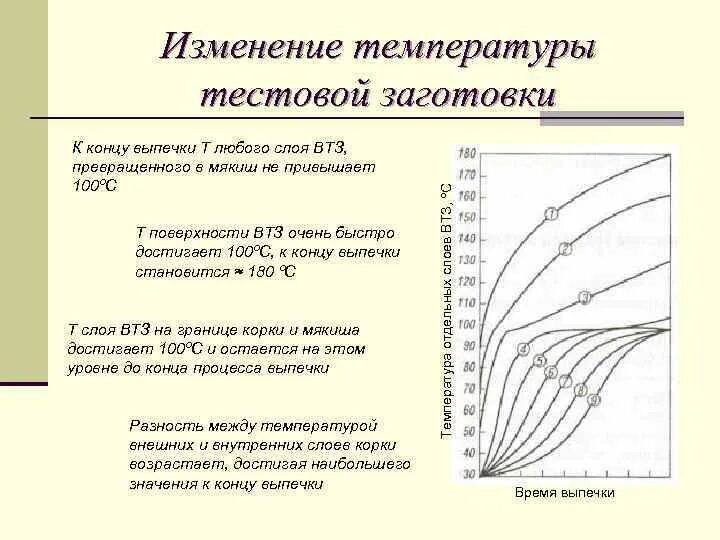 В каких процессах изменяется температура. Процессы происходящие при выпечке. Процессы происходящие при выпечке теста. Изменения в тесте происходящие при выпекании. График изменения в процессе выпечки хлеба.