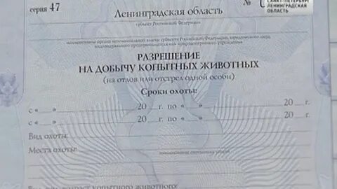 Разрешение на отстрел