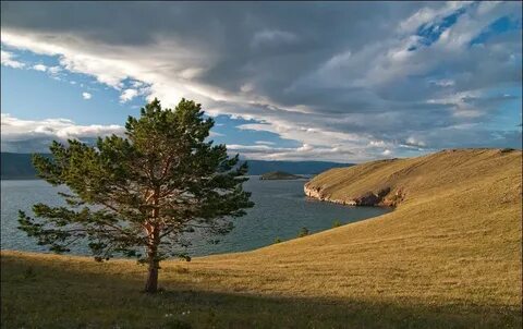 Тутай