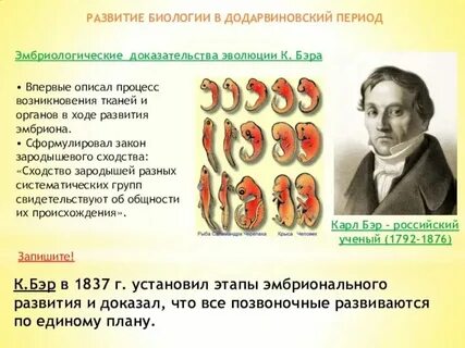 Кто первый сформулировал
