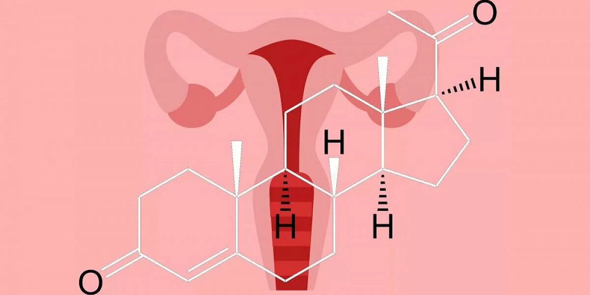 Гормоны женских органов. Женские половые гормоны. Эстроген гормон. Эстроген и прогестерон. Молекулы гормонов.