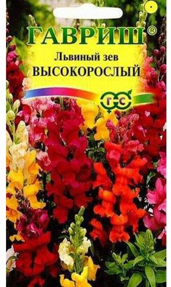 Как пересадить львиный зев. Львиный зев высокорослый смесь 0,1г. львиный зев зугшпитте. львиный зев тетра. антирринум высокорослый львиный зев.
