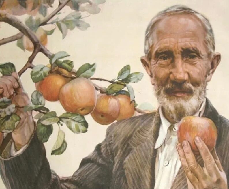 Ученый мичурин вклад в развитие селекции. Ученый мичурин вклад в развитие селекции. Ученый мичурин вклад в развитие селекции. Мичурин и. Ученый мичурин вклад в развитие селекции.