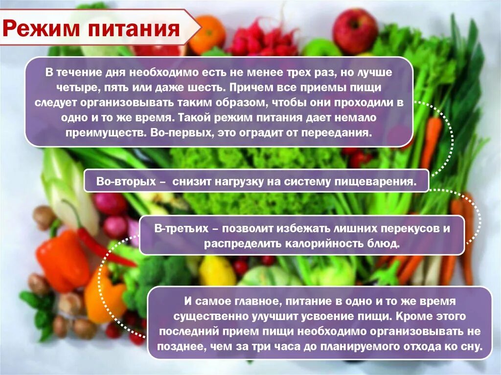 Пищи 3 раза в сутки. Режим питания. Правильное питание приемы пищи. Правильное питание в течение дня. Приемы пищи в день.