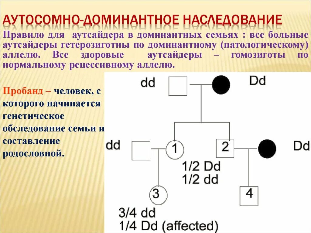 Аутосомное наследование пример