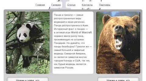 Задание панды медведя