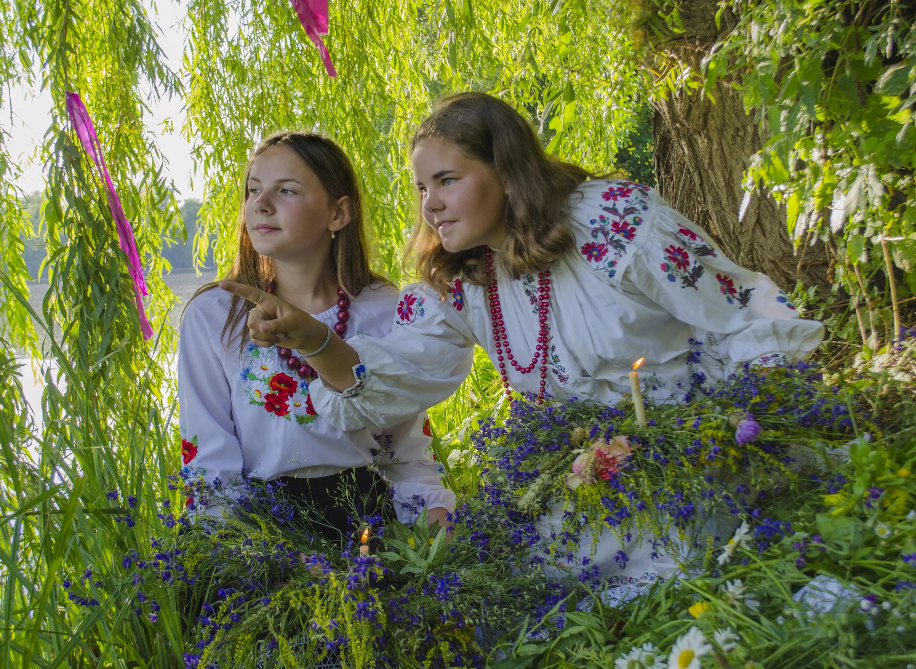Усадьба эдем сеница. Фальварак купала. Фото синички птицы. Купала сеница. Купала сеница.