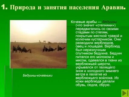 Природа арабского халифата