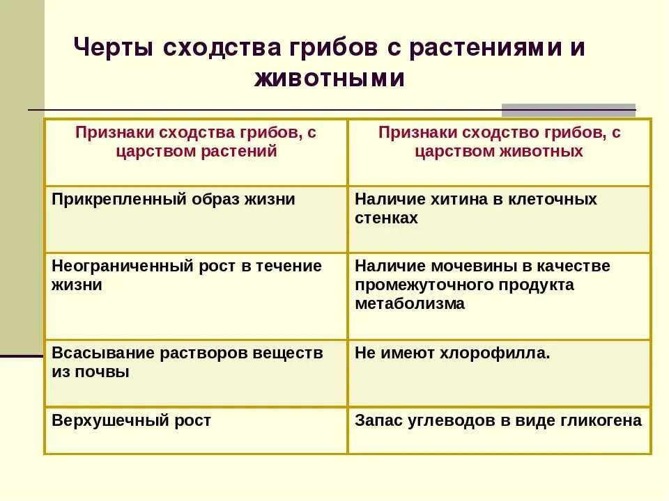 Три черты отличающие. Черты сходства грибов с растениями и животными 5 класс таблица. Общие признаки грибов с растениями и животными таблица. Черты сходства грибов с растениями и животными 7 класс. Признаки сходства грибов с растениями и животными таблица.