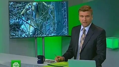 Новости сегодня нив