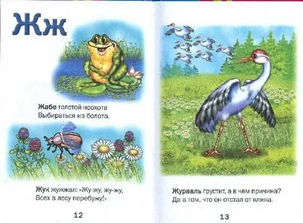 Про ж