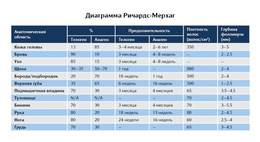 Скорость роста волос. Нормальная скорость роста волос. Средняя скорость роста волос.