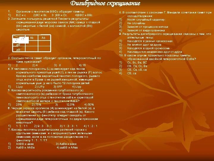 Генотип ааввсс образует гаметы. Генотип ВВСС образует гаметы. Сколько типов гамет образует организм с генотипом ВВСС,. ВВСС какие гаметы образует организм. Какие гаметы образует особь, имеющая генотип ВВСС.