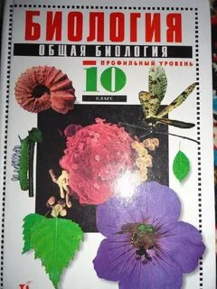 Биология 10 кл
